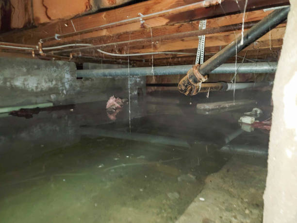 Carpet water damage restoration in MD