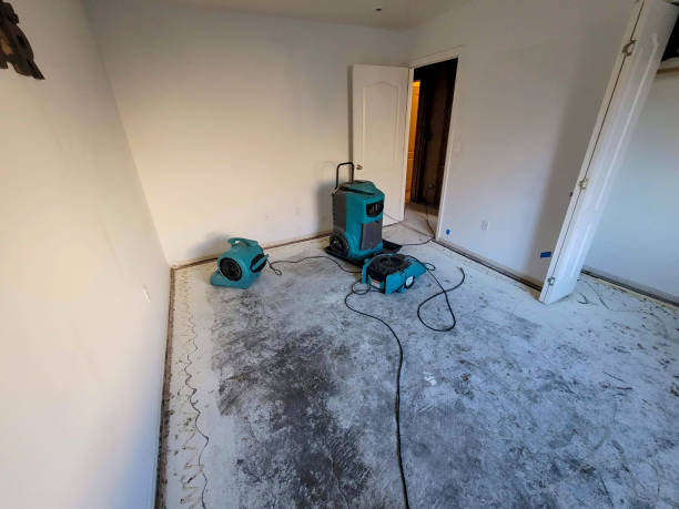 Best Commercial water damage restoration  in Crownsville, MD
