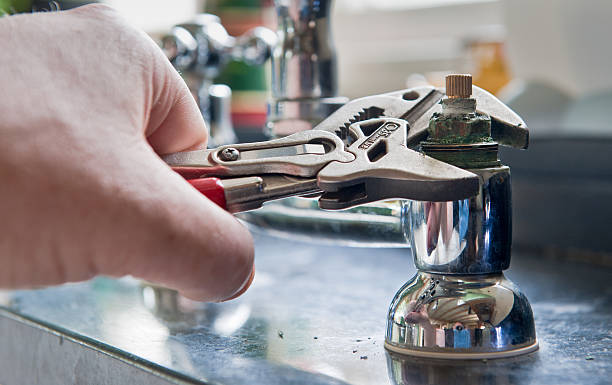 Best Mold removal after water damage  in Crownsville, MD