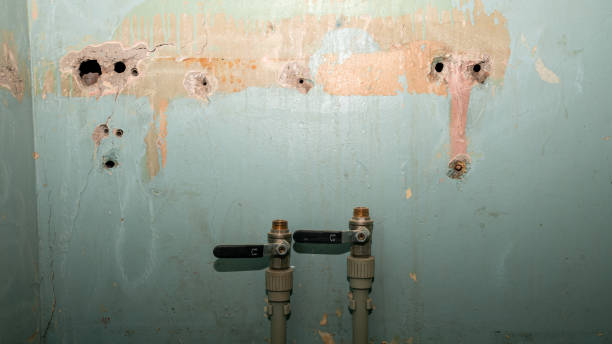 Best Local water damage restoration  in Crownsville, MD