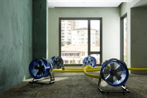 Best Mold removal after water damage  in Crownsville, MD